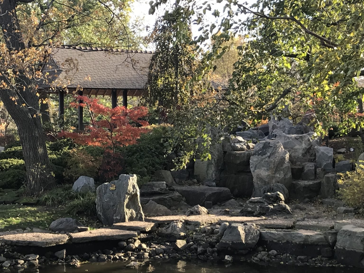 My Favorite Fall Destinations in Chicago